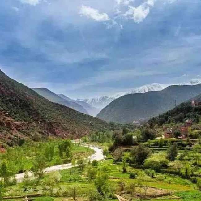 From Marrakech: Imlil Village and Kik Plateau Day Trip - Group Size, Language, and Comfort Checks