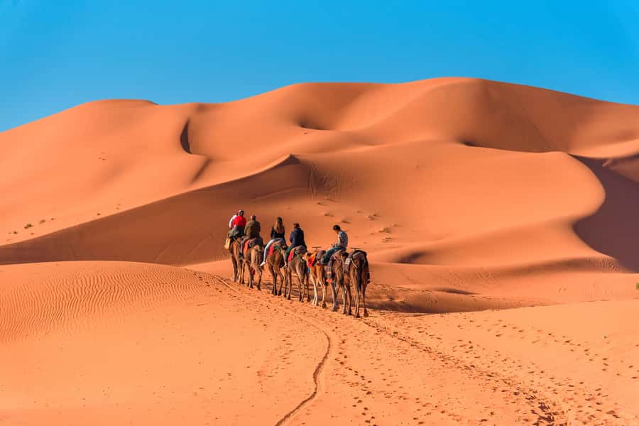 From Marrakech: Merzouga 3-Day Desert Safari with Food - Sunrise camel ride and the drive back to Marrakech