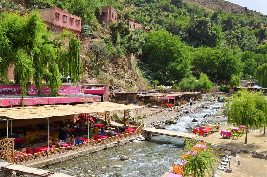 From Marrakech: Ourika Valley & Atlas Mountains Waterfalls - Argan oil cooperative and the Berber house visit: what you’re really learning