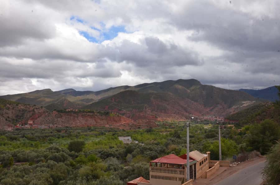 From Marrakech: Ourika Valley Day Trip with Lunch - Who This Tour Fits Best, and Who Should Rethink It