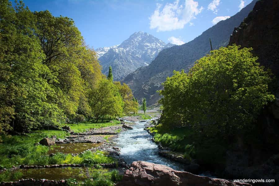 From Marrakech: Ourika Valley Day Trip with Lunch - Escaping Marrakech: The Road to Ourika Valley