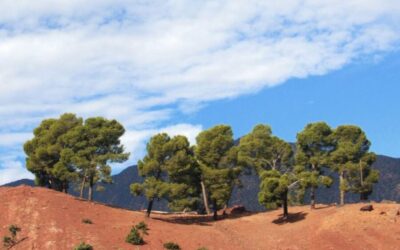 Ourika Valley Tour with Lunch & Camel Ride