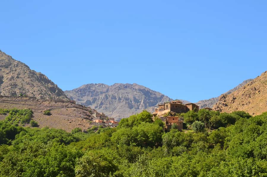 From Marrakech: Ourika Valley Trip, Waterfall Hike & Lunch - Argan oil cooperative stop: practical production and a women-run mission