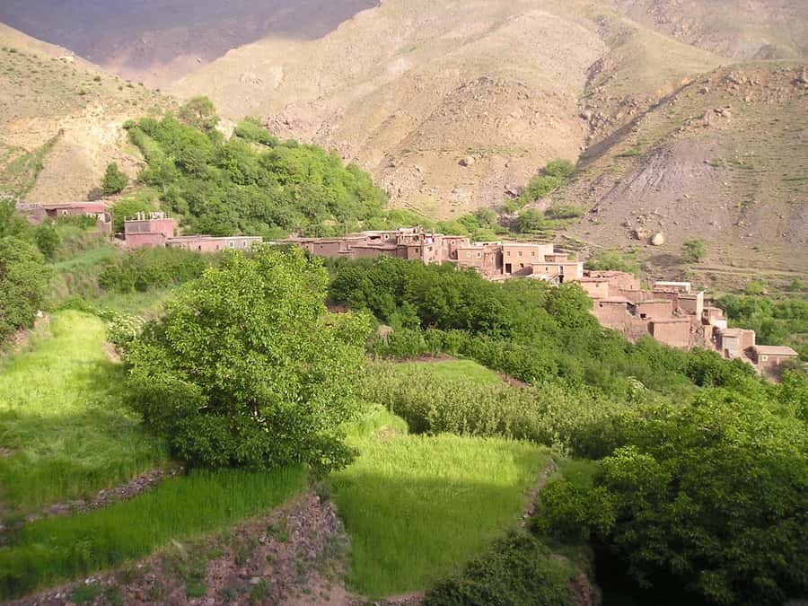 From Marrakech: Ourika Valley Trip, Waterfall Hike & Lunch - Lunch by the Ourika River: the break you’ll be glad you planned for