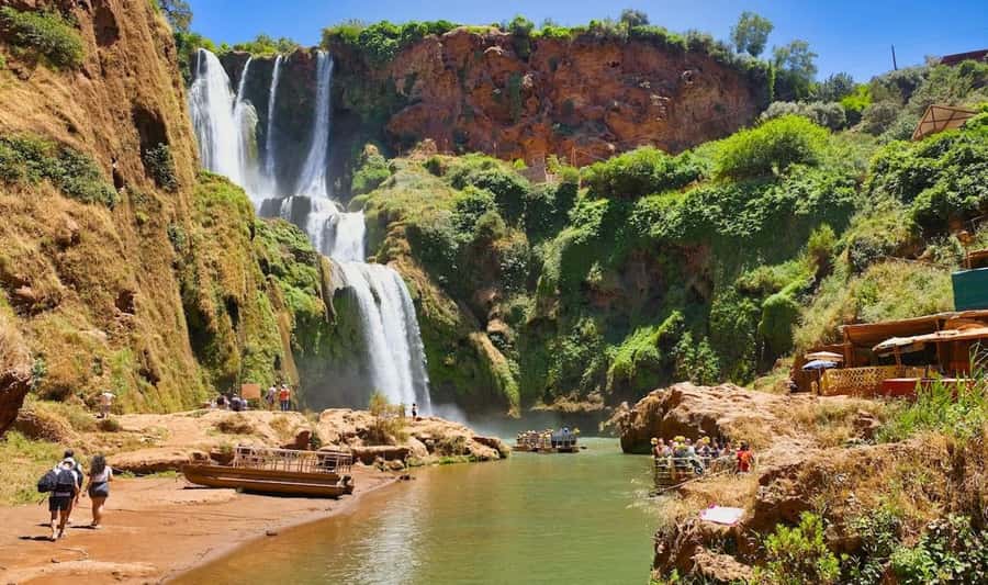 From Marrakech: Ouzoud Waterfalls Full-Day Guided Tour - The argan oil co-operative stop: what you’ll learn and why it matters