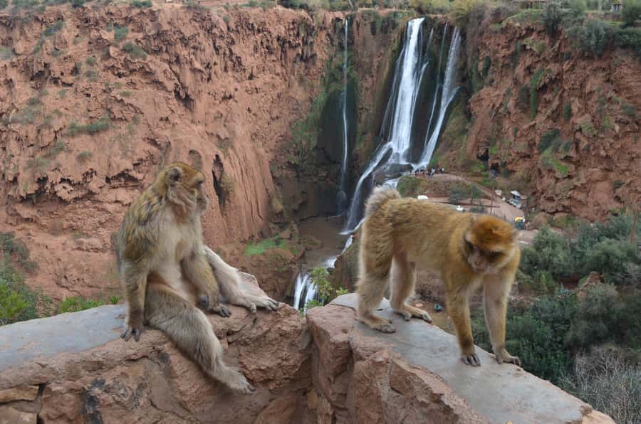 From Marrakech: Ouzoud Waterfalls Guided Hike and Boat Tour - Lunch strategy: where to eat and how to budget for tagine