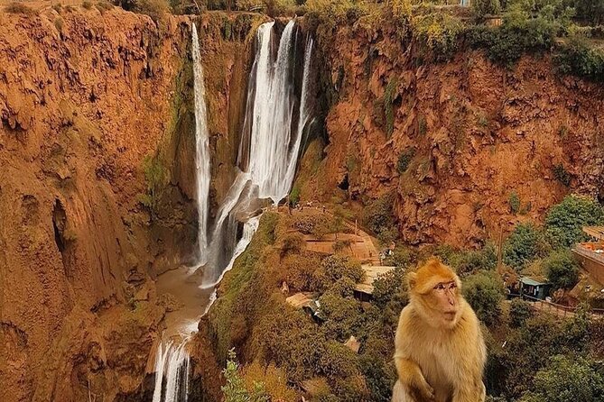 From Marrakech: Ouzoud Waterfalls Guided Hike and Boat Trip - The Boat Ride Near the Base, Up Close Without the Guesswork