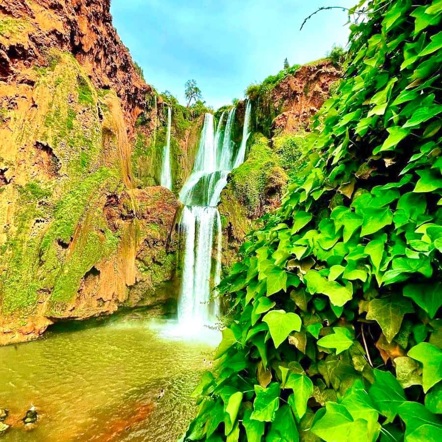From Marrakech: Ouzoud Waterfalls Guided hike & boat Ride - Lunch by the Falls: What You Can Expect and What to Budget