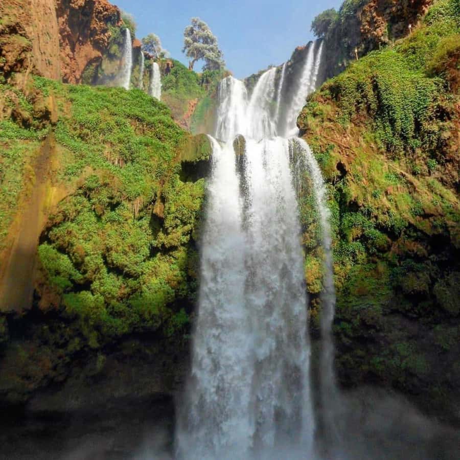 From Marrakech: Ouzoud Waterfalls Guided hike & boat Ride - Price and Logistics: Is $23 Good Value?
