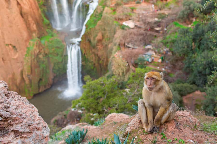 From Marrakech: Ouzoud Waterfalls Guided Tour and Boat Ride - The drive from Marrakech: what the 1-day schedule really feels like
