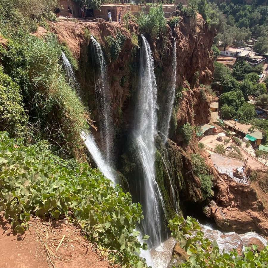 From Marrakech: Ouzoud Waterfalls Guided Tour and Boat Ride - Monkeys and birds: how to enjoy wildlife without creating problems