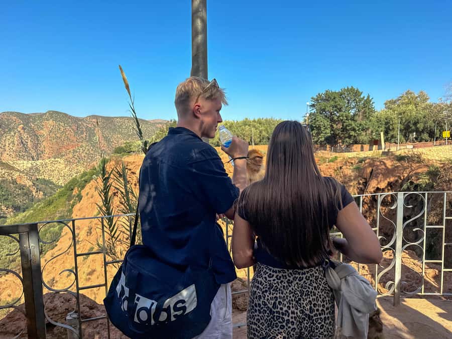 From Marrakech: Ouzoud Waterfalls Guided Trip with Boat Ride - The Local Guide Upgrade: Smoother Timing, Better Photos, and Real Context