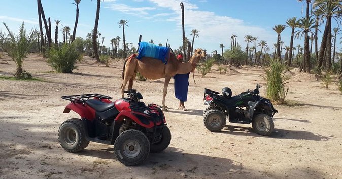 From Marrakech: Palm Grove Quad Bike and Camel Ride Tour - Key Things I’d Bet You’ll Care About