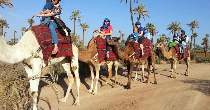 From Marrakech: Palm Grove Quad Bike and Camel Ride Tour - From Your Hotel to Palmeraie: The Easy Start