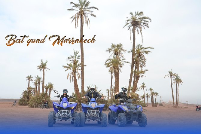 From Marrakech: Palm Grove Quad Bike and Camel Ride Tour - Price and Value: Is $52.14 Worth It?