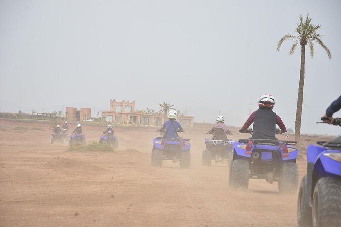 From Marrakech: Palm Grove Quad Bike and Camel Ride Tour - Should You Book the Marrakech Palm Grove Quad and Camel Ride?