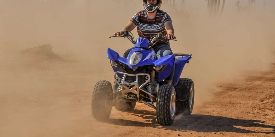 From Marrakech: Palm Grove Quad Bike Tour with Mint Tea - Price and Value: Is $40 a Good Deal?