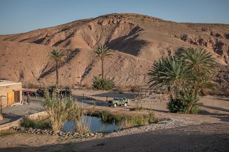 From Marrakech: Premium Agafay Desert Half-Day Quad Biking - Price and Value at $81 Per Person