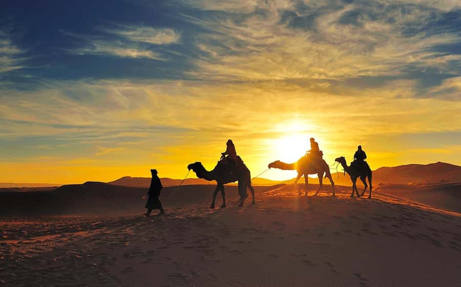 From Marrakech: Private 5-Day Zagora & Merzouga Desert Tour - Driving days that can feel long, and how to make them easier