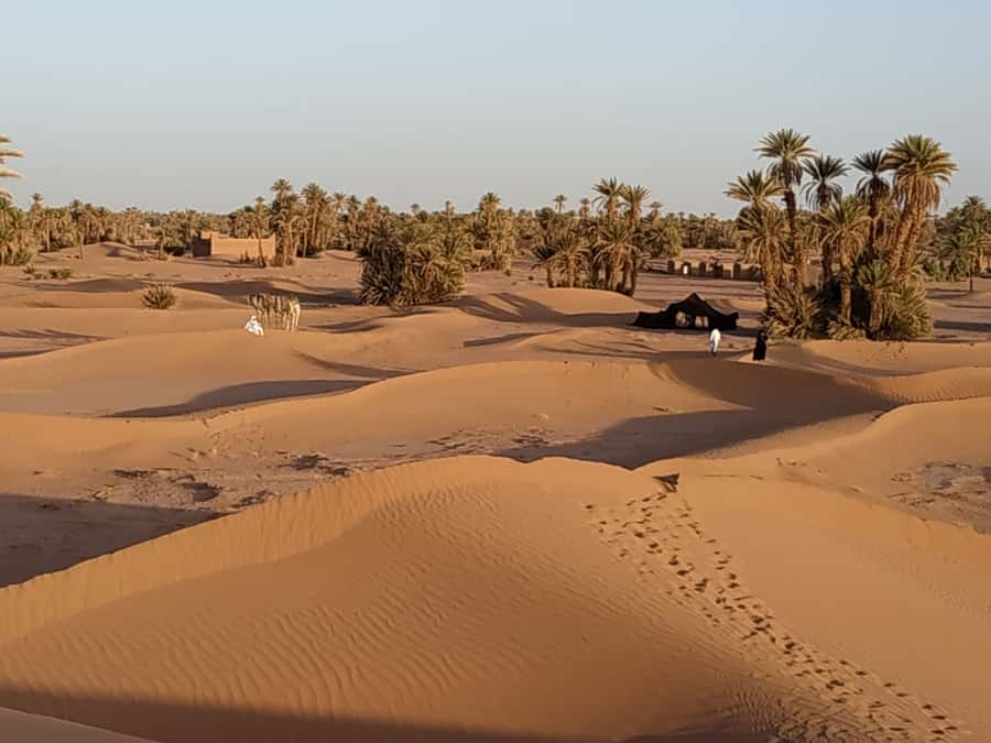 From Marrakech: Private Chegaga Desert Star Gazing 4WD Tour - Morning after: crossing the lunar terrain and the return plan