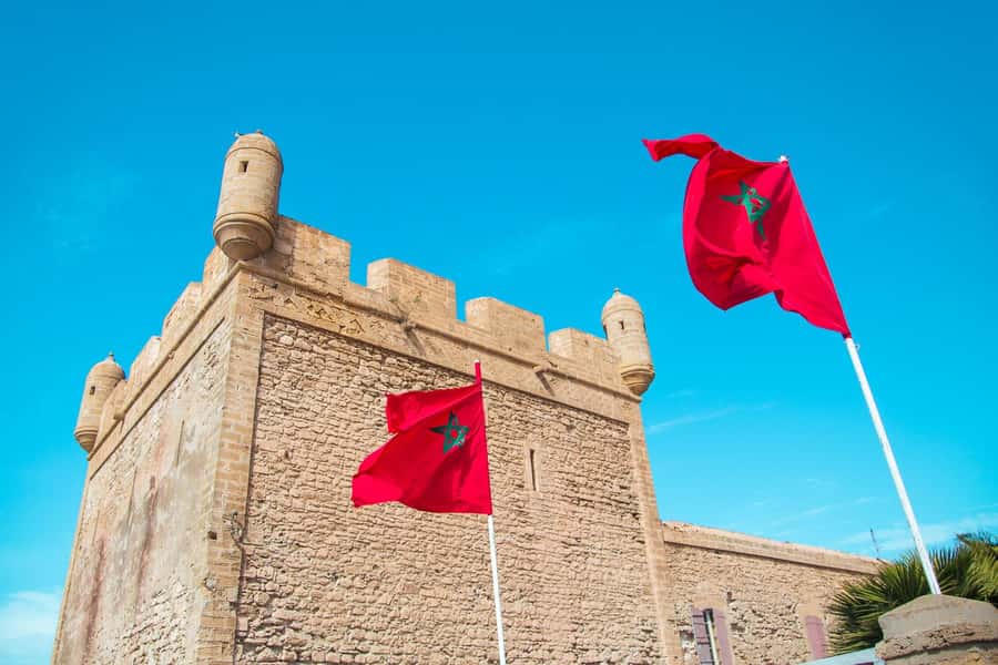 From Marrakech: Private Full-Day Essaouira Tour - Argan Women’s Co-operative Stop, Plus the Goats You Might See