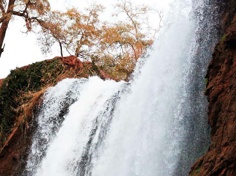 From Marrakech: Private Ouzoud Falls & Boat Ride Day Trip - Duration and Expectations: 10 Hours, But Plan for Real Roads