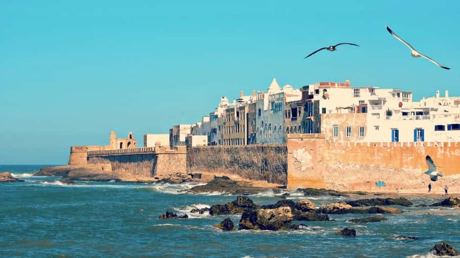 From Marrakech: small group Day Trip To Essaouira Mogador - Harbor strolling and the blue fishing boats you’ll remember
