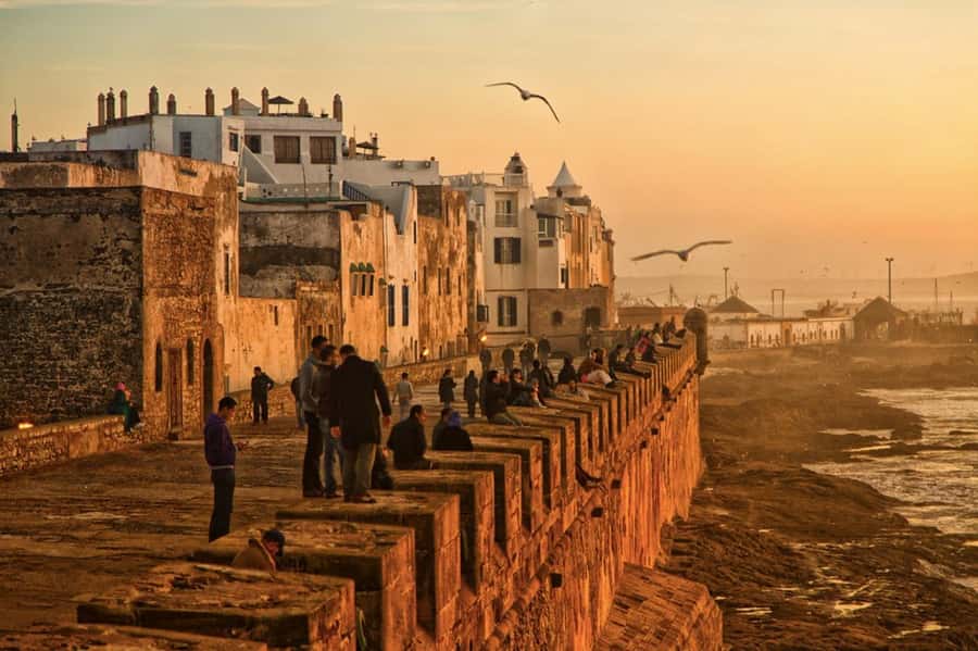 From Marrakech: small group Day Trip To Essaouira Mogador - 4 hours of free time: how to use it without burning your whole day