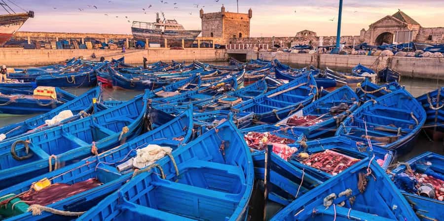 From Marrakech: Small Group To Essaouira & Medina Day Trip - Marrakech to Essaouira: the coast ride and why it matters