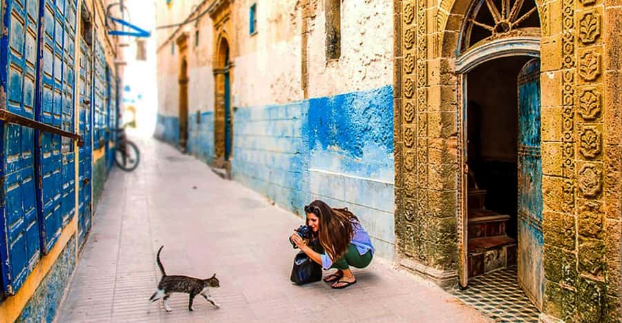 From Marrakech: Small Group To Essaouira & Medina Day Trip - Essaouira medina and Portuguese architecture: what to focus on