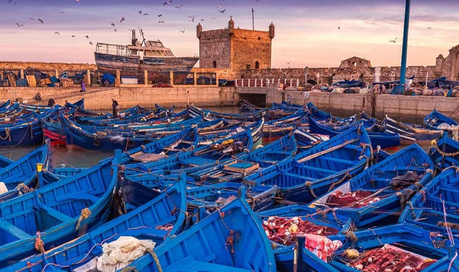 From Marrakech: Small Group to Essaouira & Sekkala Day Trip - The Marrakech to Essaouira drive: why the breaks make the day work