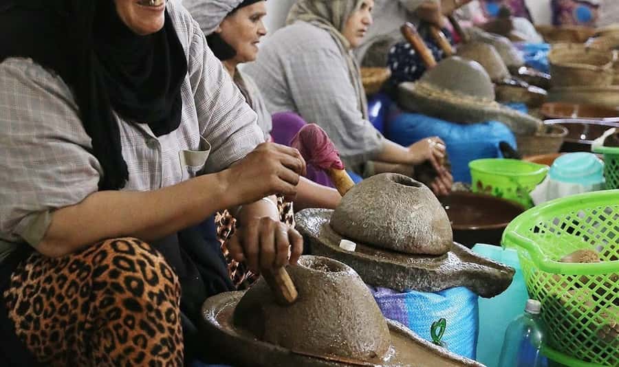From Marrakech: Small Group to Essaouira & Sekkala Day Trip - The Skala de la Kasbah port walk: ocean views plus working-fishing reality