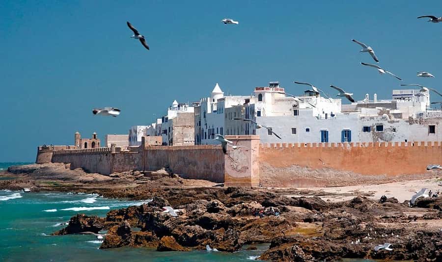 From Marrakech: Small Group to Essaouira & Sekkala Day Trip - Shopping and argan oil buys: how to make it worth your money