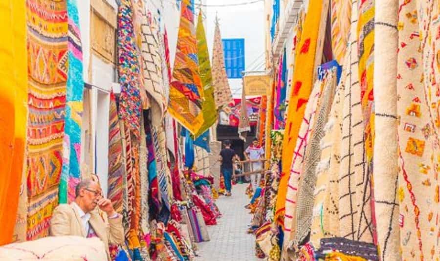 From Marrakech: Small Group to Essaouira & Sekkala Day Trip - First taste of argan country at the D’Argan Marjana cooperative