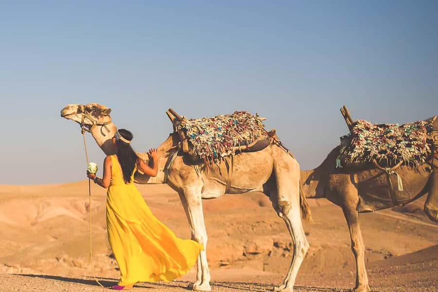 From Marrakech: Sunset Camel Ride in the Agafay Desert - Rating and what that means for you