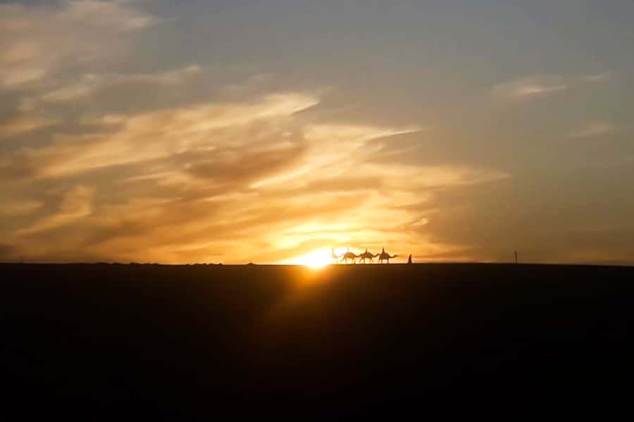 From Marrakech: Sunset Camel Ride in the Agafay Desert - Timing and pickup: the 5:00 PM start that matters for sunset