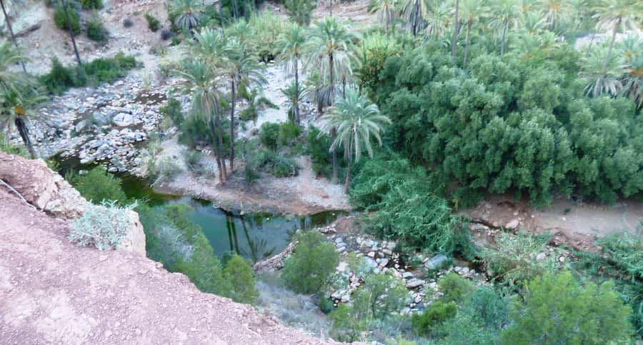 From Marrakech to Agadir Private Day Trip with Lunch - Guides make or break it: Mahmood and Reda as examples