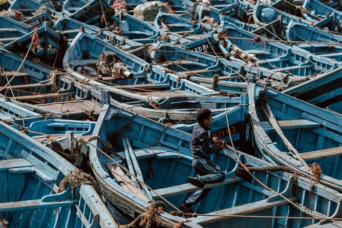 From Marrakech To Essaouira Mogador Full Day Trip | Small-group - Panoramic views and port arrival: how the route sets up your free time
