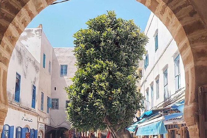 From Marrakech To Essaouira Mogador Full Day Trip | Small-group - The medina and ramparts with your own pace (and how to use your time)