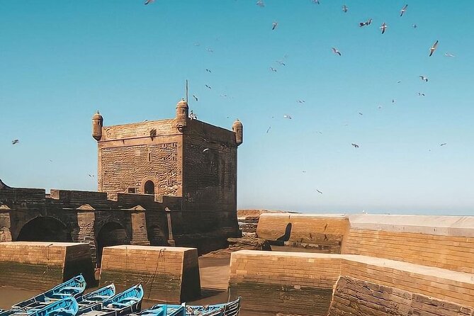 From Marrakech To Essaouira Mogador Full Day Trip | Small-group - Essaouira Beach time: great for decompression, but it is not empty