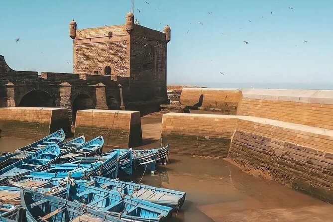 From Marrakech To Essaouira Mogador Full Day Trip | Small-group - Lunch is on you, so ask the right questions