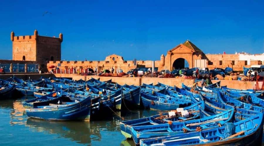 From Marrakech To Essaouira Mogador Full Day Trip Smallgroup - The Long Drive That Sets the Tone for Essaouira