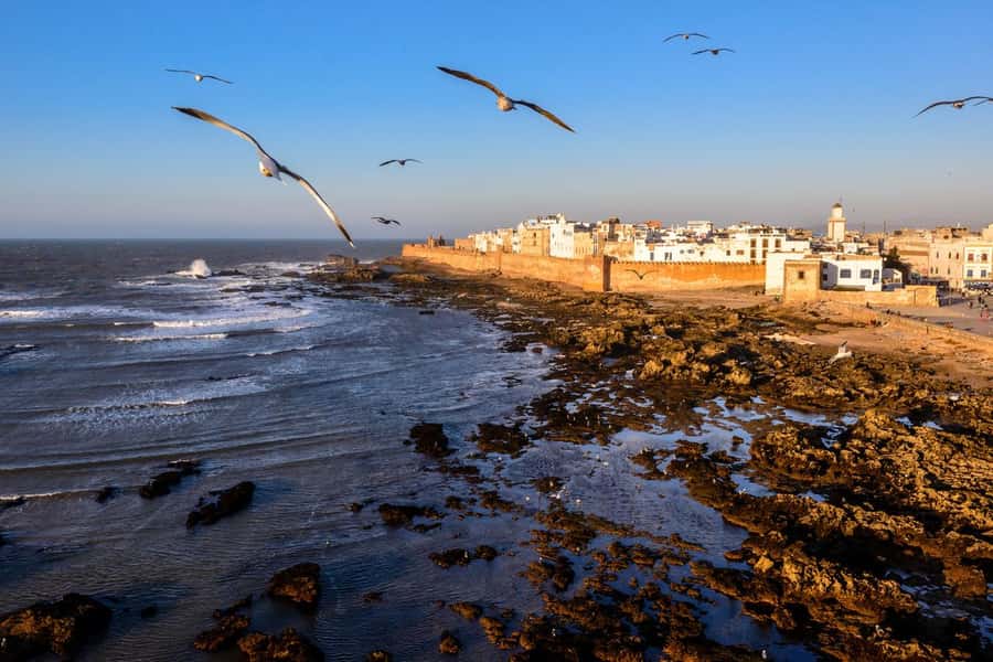 From Marrakech To Essaouira Mogador Full Day Trip Smallgroup - Port of Essaouira and Old Ramparts: What You’re Seeing Without Needing a Script