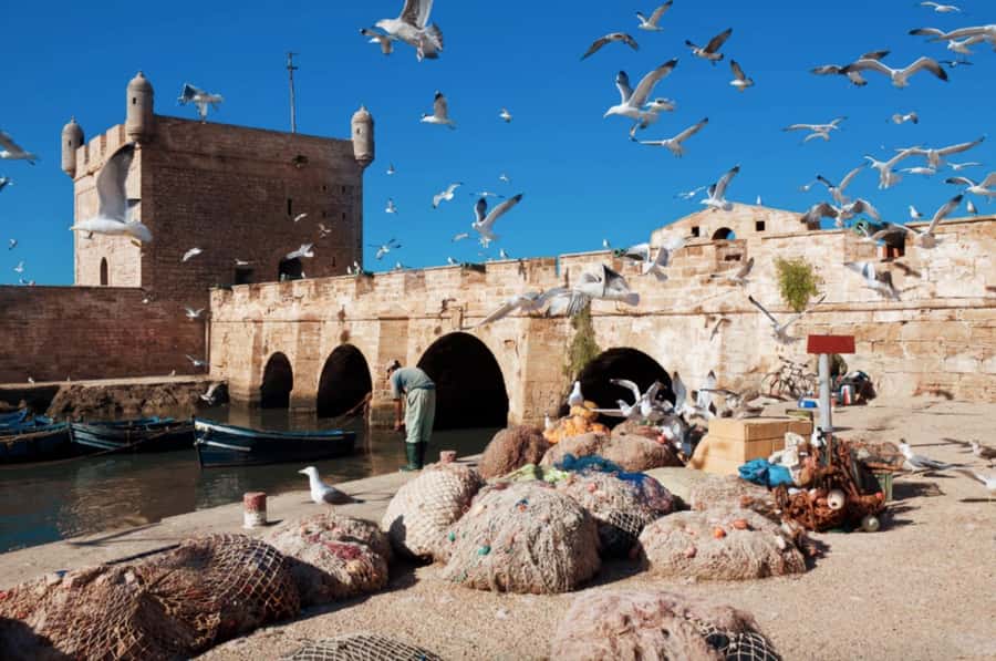 From Marrakech To Essaouira Mogador Full Day Trip Smallgroup - Guides and Drivers: Why This Trip Feels Well Run