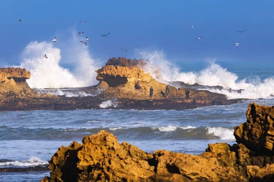 From Marrakech To Essaouira Mogador Full Day Trip Smallgroup - The Panoramic Pause Before You Hit the Blue-and-White City