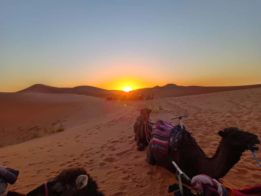 From Marrakech to Fes 3-Day Luxrury Tour via Sahara Desert - Best Fit: Who This Tour Suits, and Who Should Think Twice
