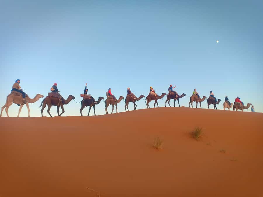 From Marrakech to Fes 3-Day Luxrury Tour via Sahara Desert - What to Pack for Camelback, Desert Night, and Cedar-Forest Mornings