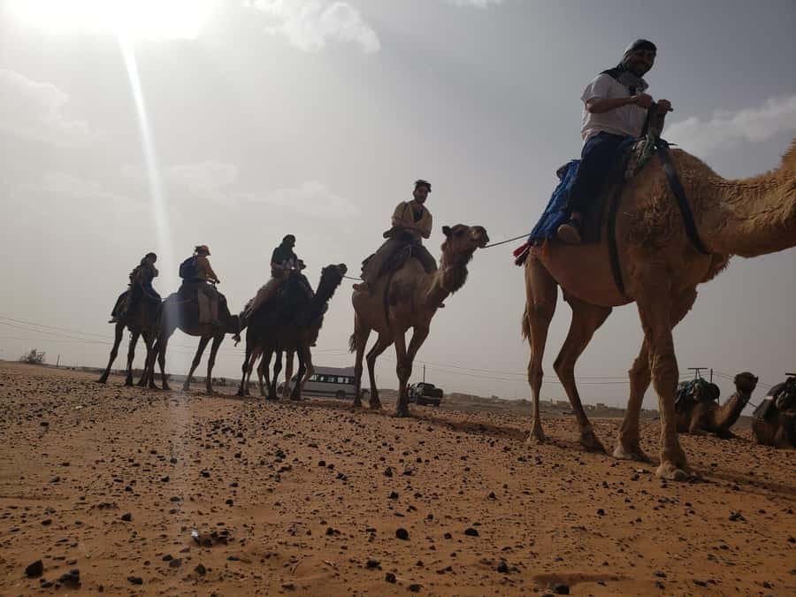 From Marrakech to Fes 4-Day Merzouga Sahara Desert Adventure - Price, value, and what $306 covers in real life