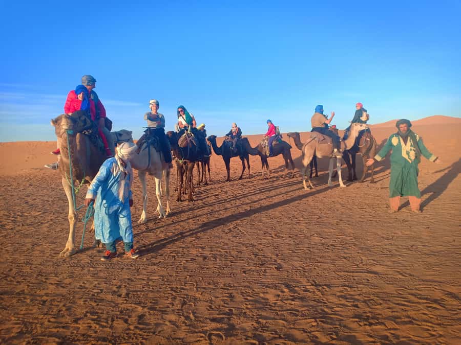 From Marrakech to Merzouga Erg Chebbi: 4-Day Desert Tour - Day 4: Winding Down the Atlas Back to Marrakech