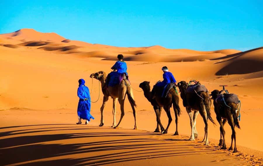 From Marrakech: Tour 3-Day To Fez Via-Desert Merzouga - FAQ